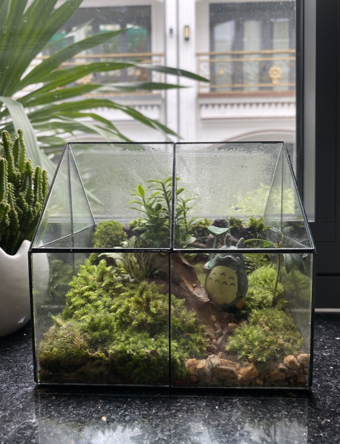 A moss terrarium in a glass house